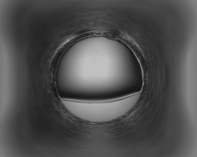 X0000086001352200703230840