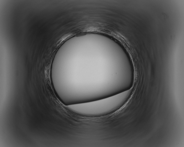 X0000086001353200703230840