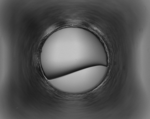 X0000086001354200703230840