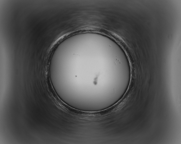 X0000086001355200703230840