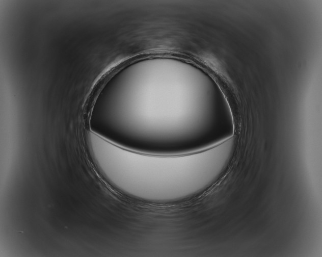 X0000086001356200703230840