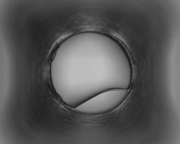 X0000086001357200703230840