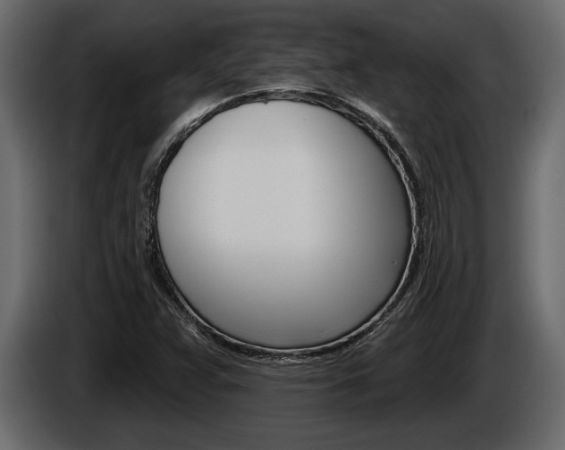 X0000086001359200703230840