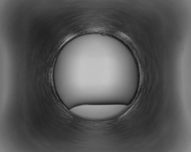 X0000086001361200703230840