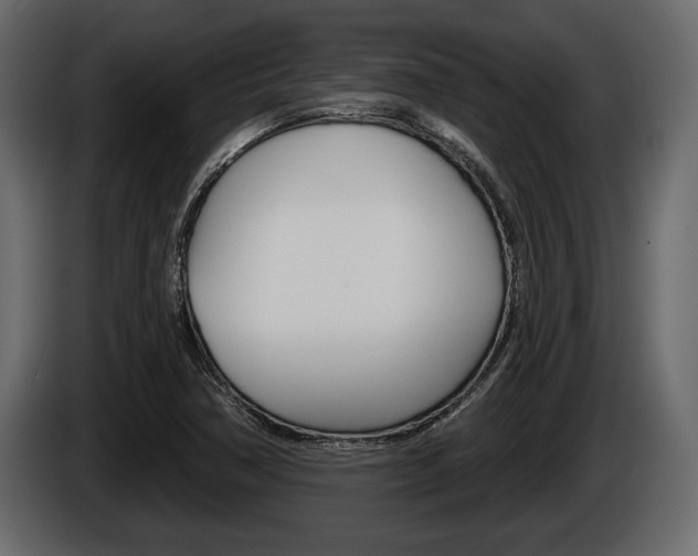 X0000086001362200703230840
