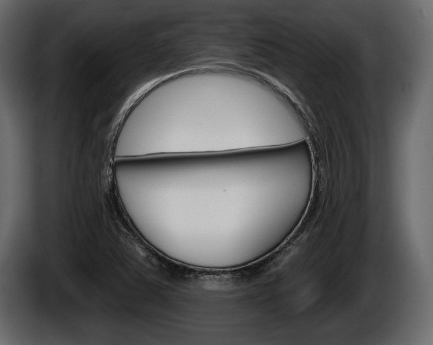 X0000086001363200703230840