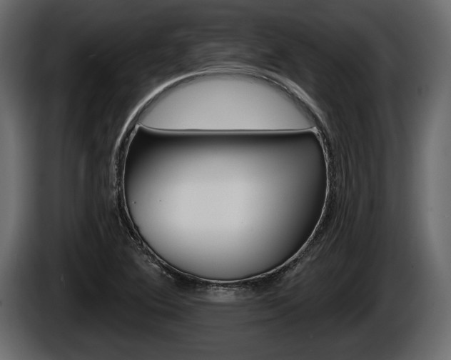X0000086001364200703230840