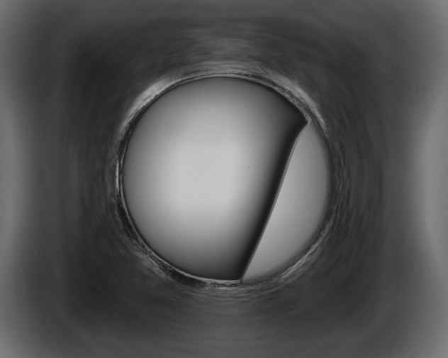 X0000086001365200703230840