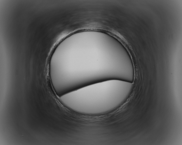 X0000086001366200703230840