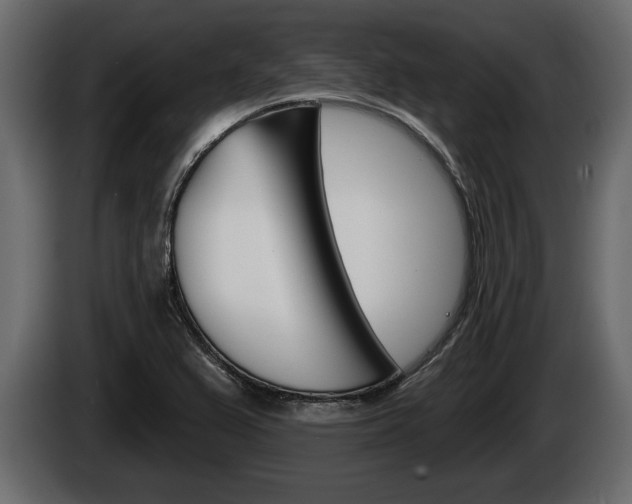 X0000086001367200703230840