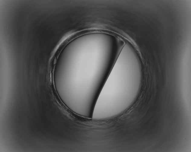 X0000086001368200703230840