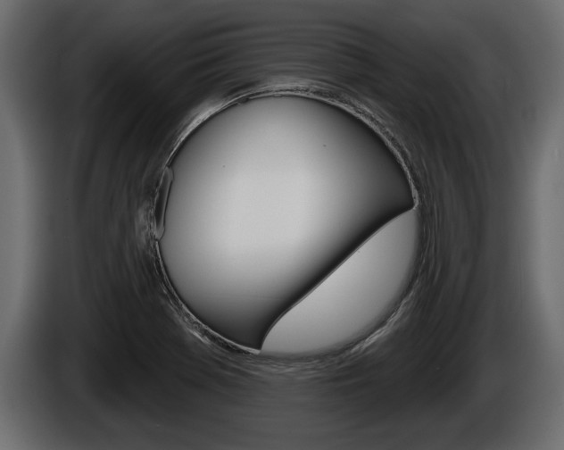 X0000086001369200703230840