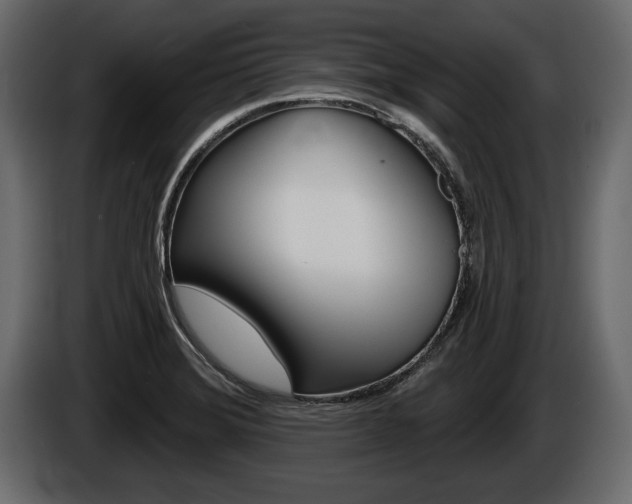 X0000086001372200703230840