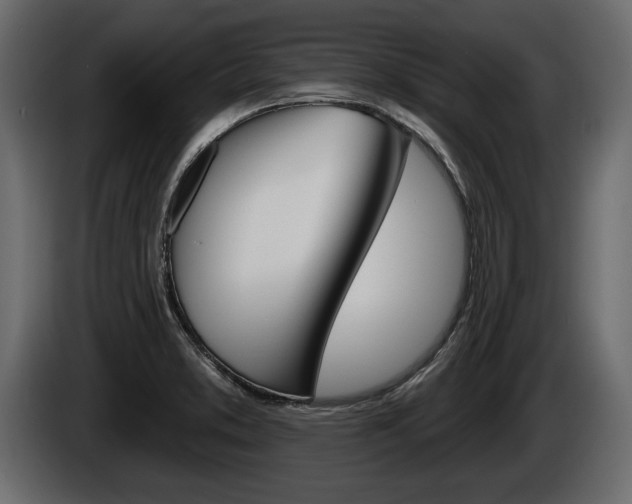 X0000086001373200703230840