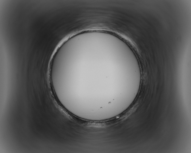 X0000086001374200703230840