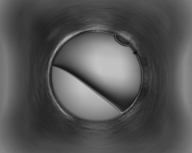 X0000086001375200703230840