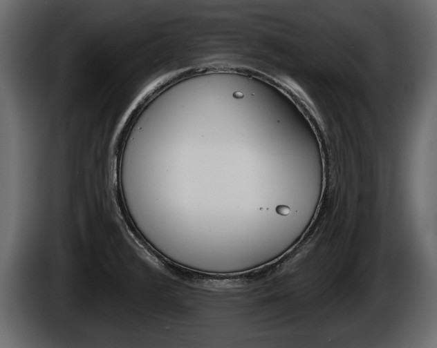 X0000086001376200703230840