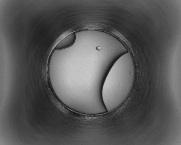 X0000086001378200703230840
