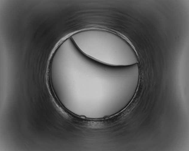 X0000086001379200703230840