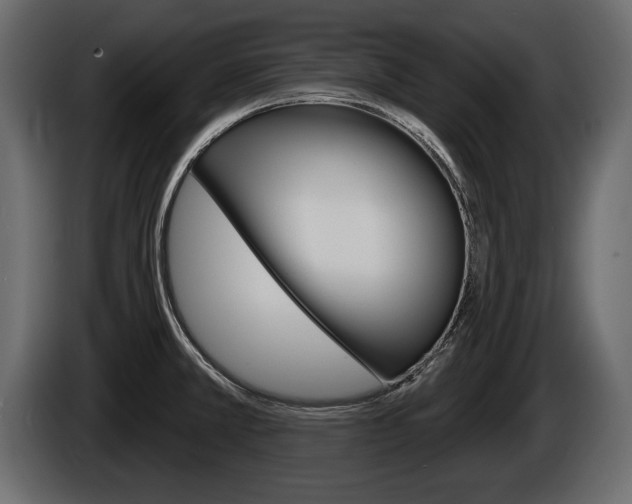 X0000086001381200703230840