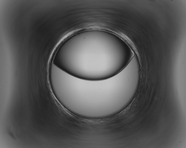 X0000086001384200703230840
