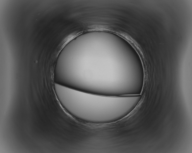 X0000086001385200703230840