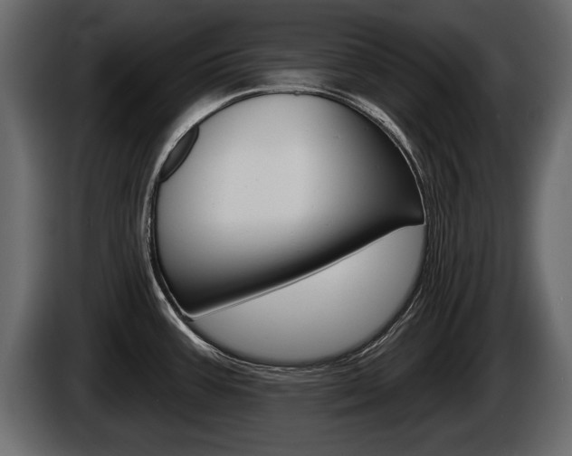 X0000086001387200703230840