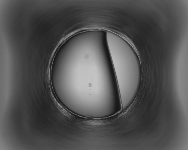 X0000086001388200703230839