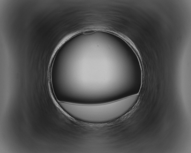 X0000086001389200703230839
