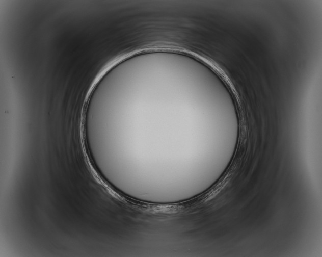X0000086001390200703230839