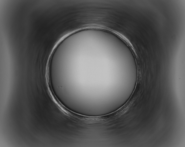 X0000086001391200703230839