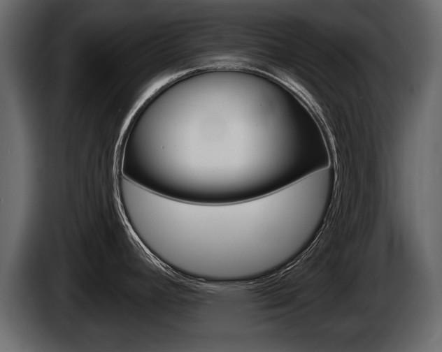 X0000086001392200703230839