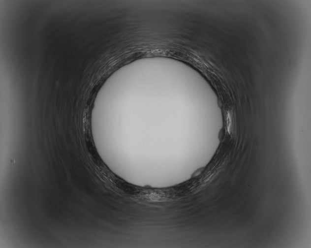 X0000086001395200703230839
