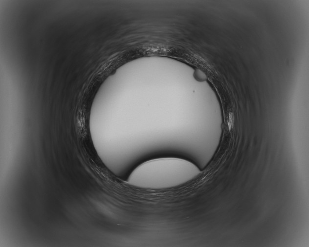X0000086001396200703230839
