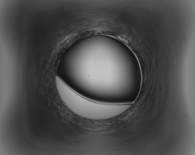 X0000086001398200703230839