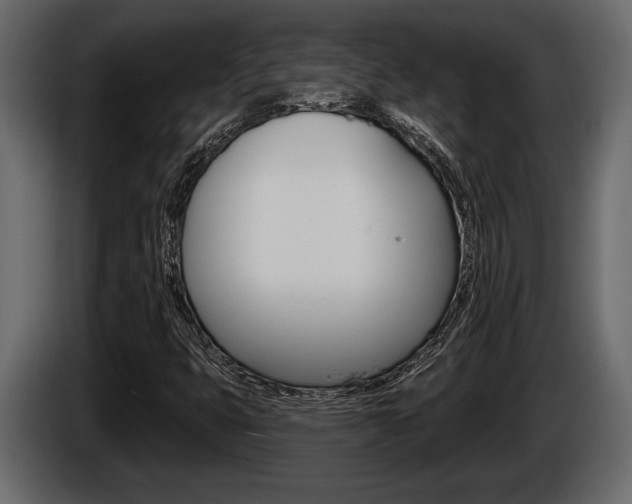 X0000086001399200703230839