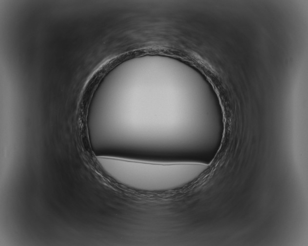 X0000086001400200703230839