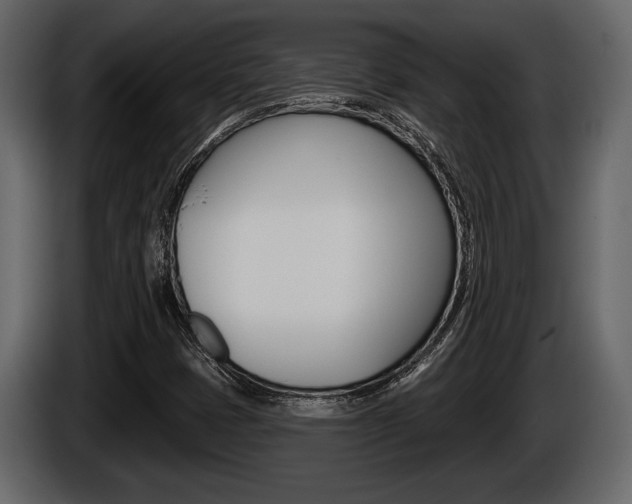 X0000086001401200703230839
