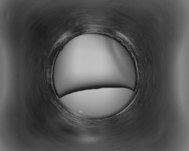 X0000086001403200703230839