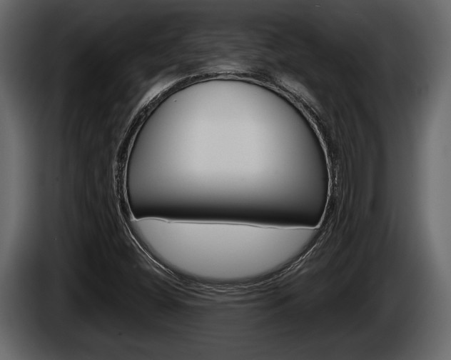 X0000086001404200703230839