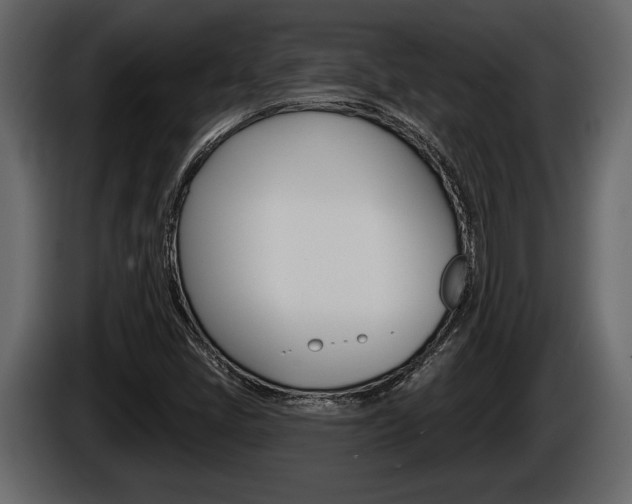 X0000086001405200703230839