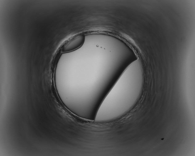 X0000086001408200703230839
