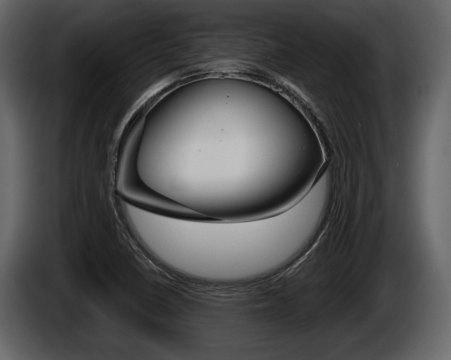 X0000086001410200703230839