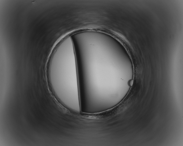 X0000086001412200703230839