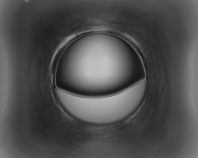 X0000086001414200703230839