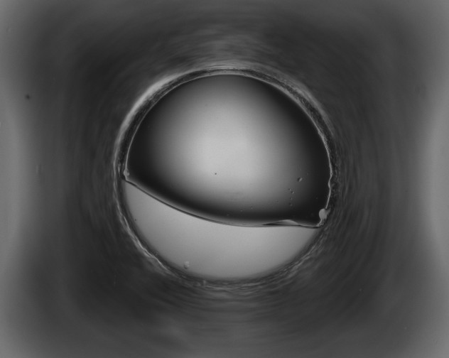 X0000086001416200703230839