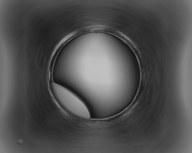 X0000086001418200703230839