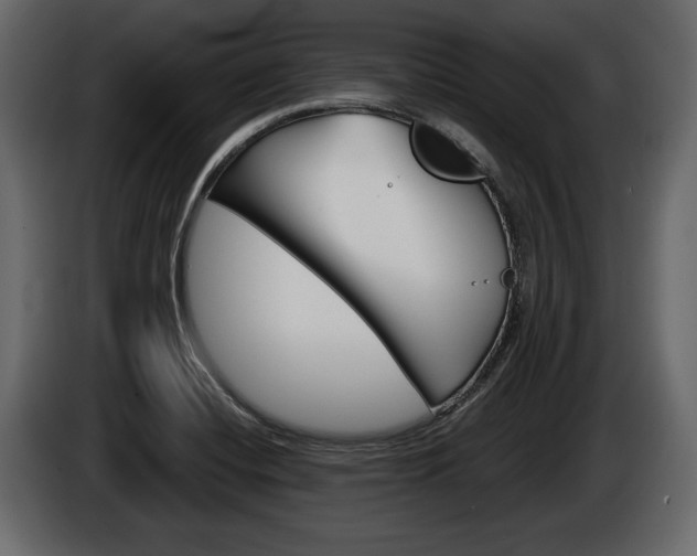 X0000086001420200703230839