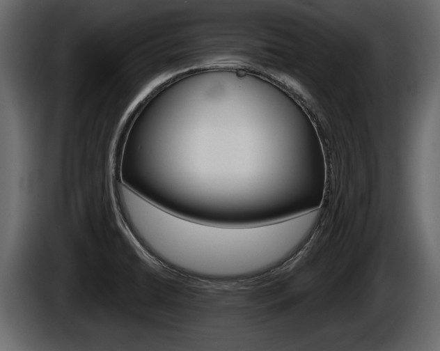 X0000086001422200703230839