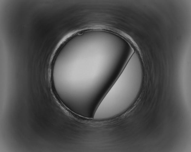 X0000086001424200703230839